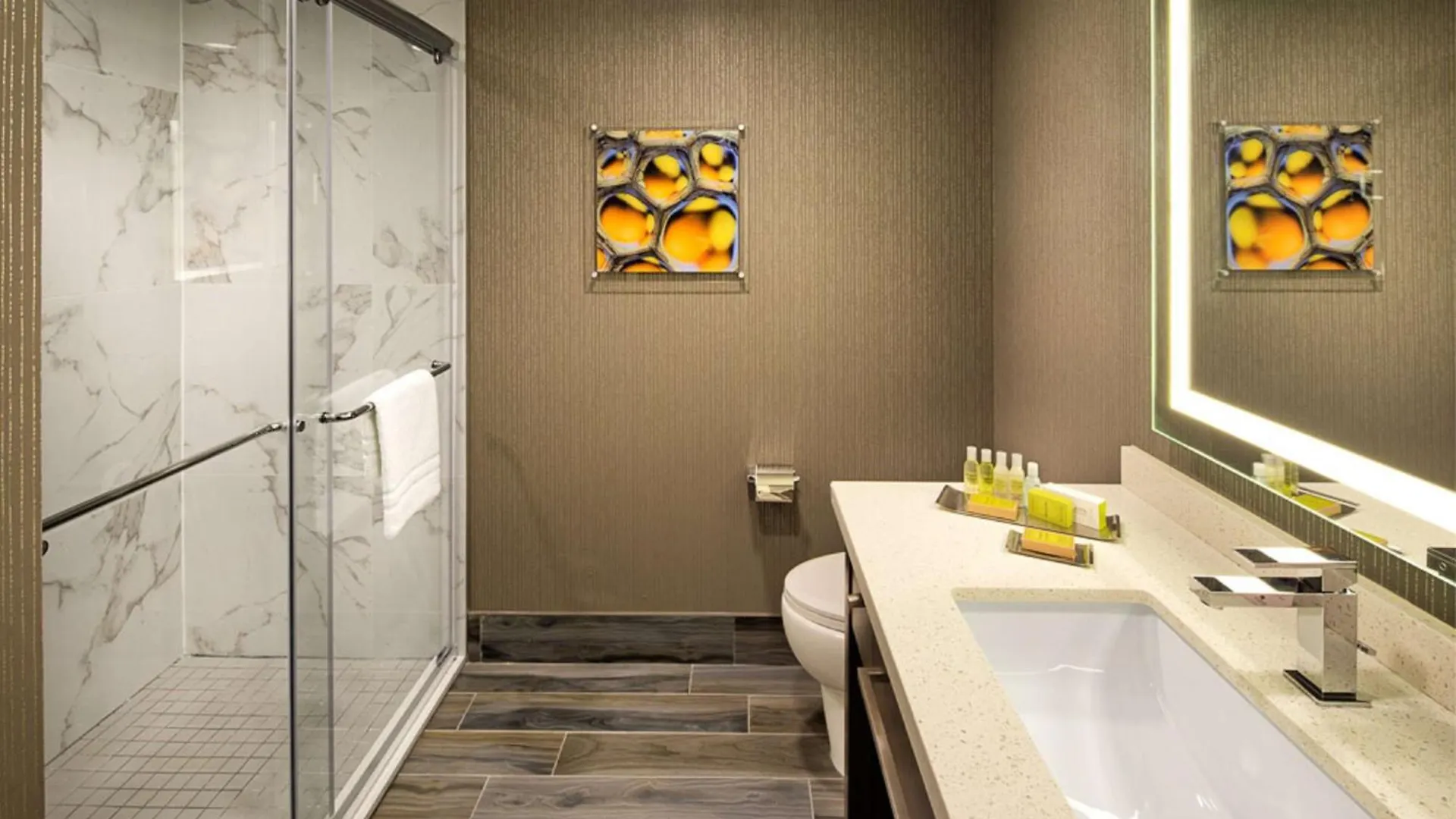 Hotel Doubletree By Hilton Toronto Airport, On 4*,